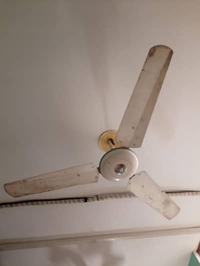 Royal and Pakfans Fan for sell