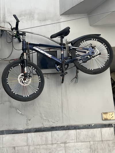 Champion Mountain Bike for Kids