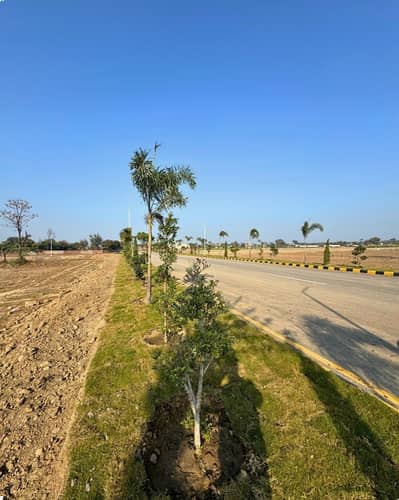 Lahore Organic Farms Society Located on Main Barki Road, Lahore.