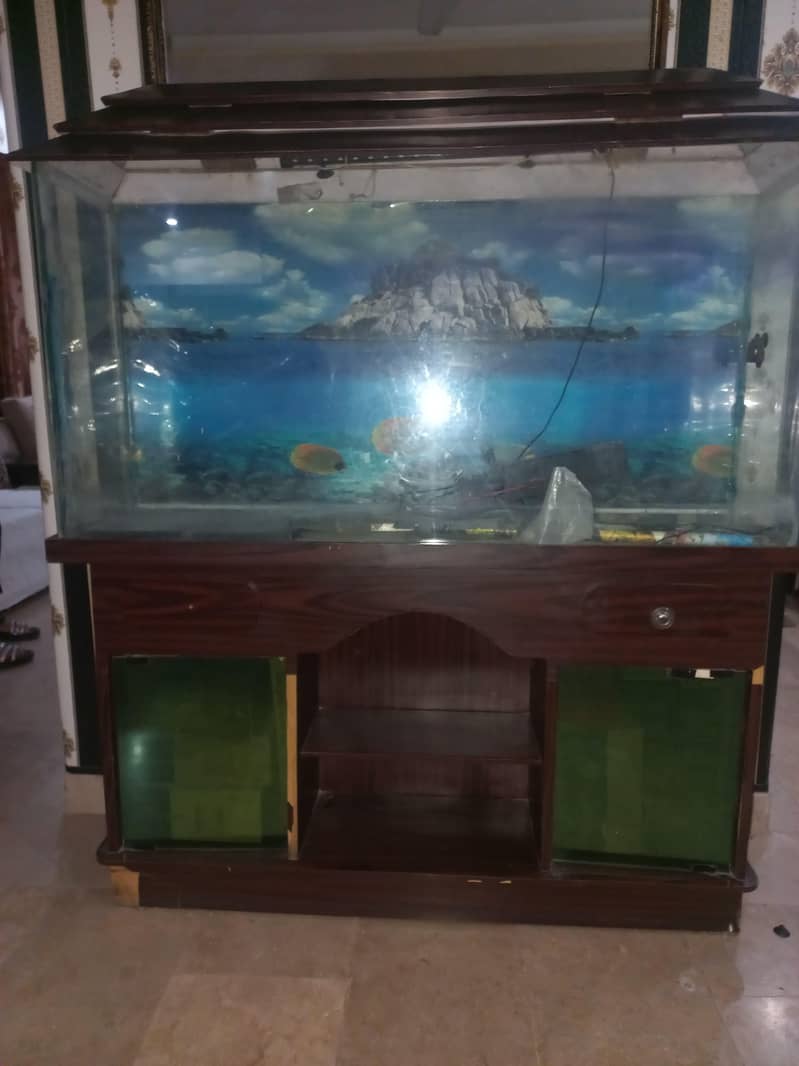 fish stand 0