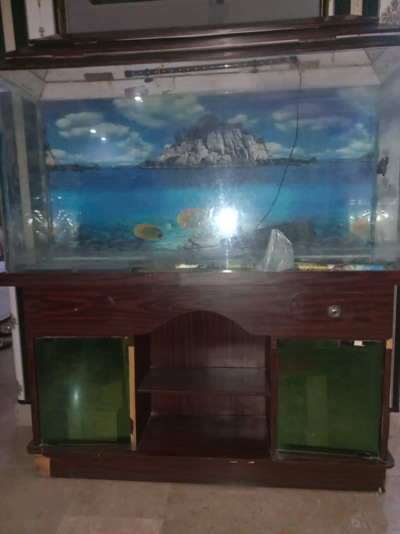 fish stand 1