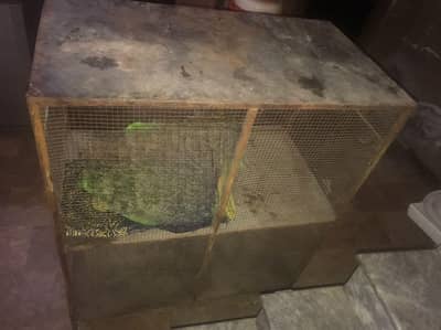 cage for sale