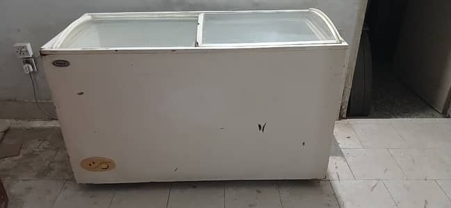 Waves Ice Cream Deep Freezer