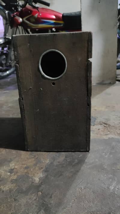 ringnack or Kashmiri Ka breeding box ha