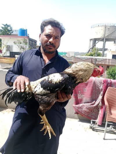 Henrietta /penny/ Mabel/Olive and Hazel