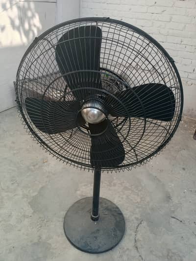Fan for sale