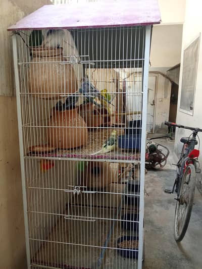 affordable budges pair for sell