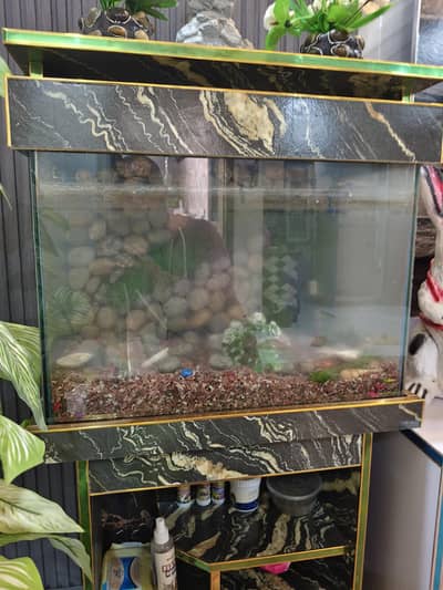 Beautiful fish aquarium for sale 17000 rs