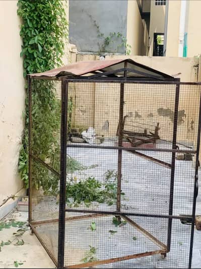 Pinjra/Cage for sale