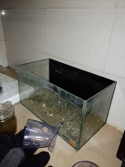 Fish Tank For Sale!