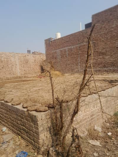 Hamza twow shrebuthnna near by Madina cold stor