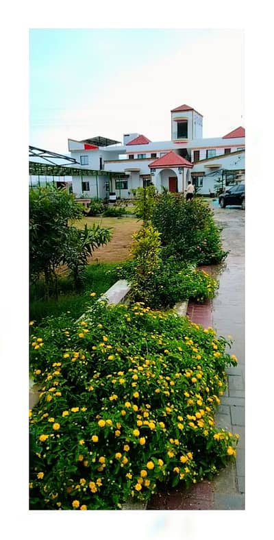 CATTLE FARM DAIRY FARM