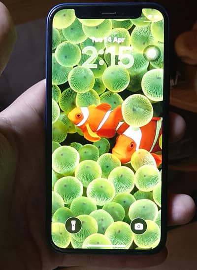 iphone 12 mini jv non pta