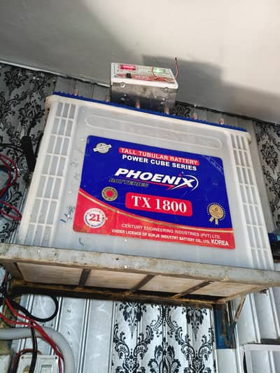 phoenix 1800 tall tubular