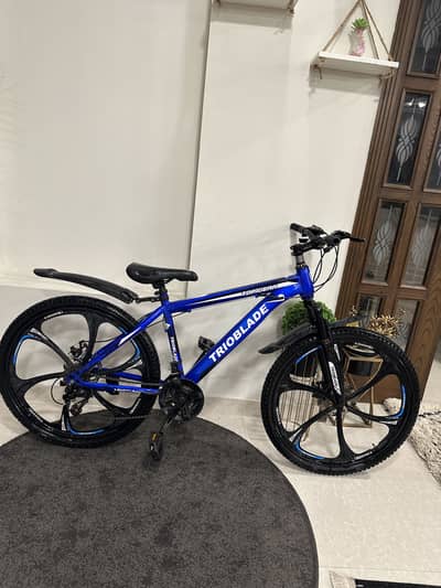 Bicycle 26 size argent sale