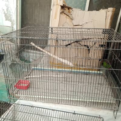 Birds cages