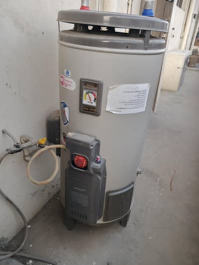 DEG-2020 20 gallon nasgas geyser