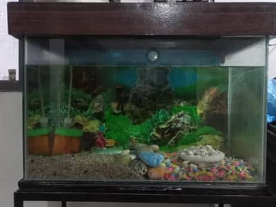 Aquarium for sale