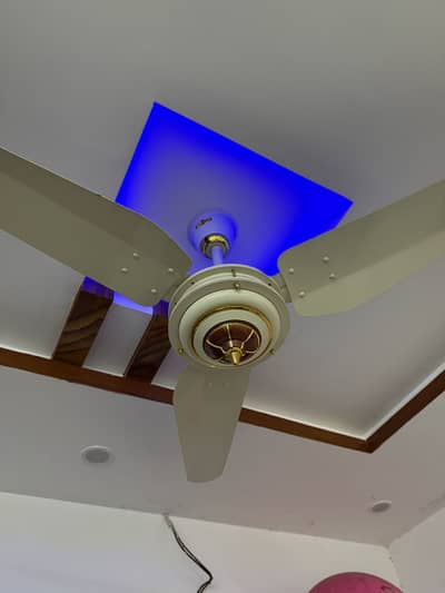 Inverter fans
