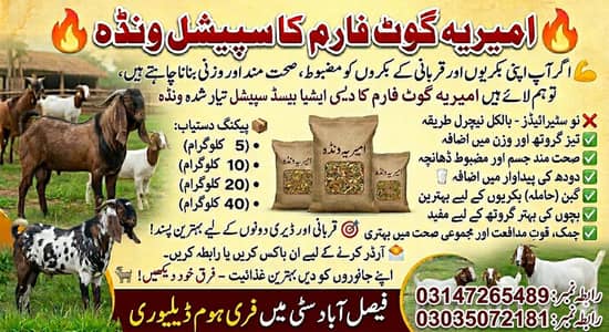 Pure Desi Wanda For Growth Of meat And Milk