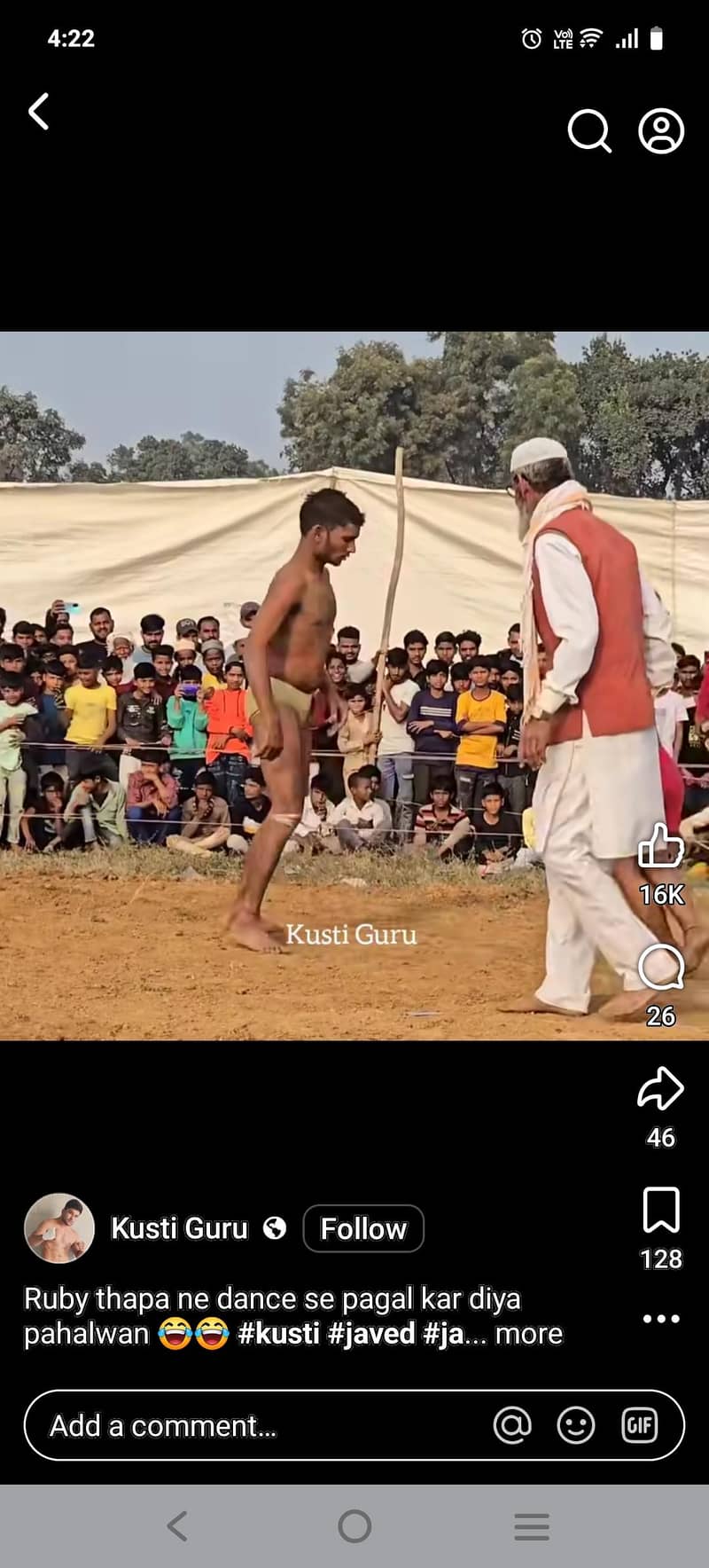 قربانی 2026 کے لیے بچھڑے برائے فروخت 8