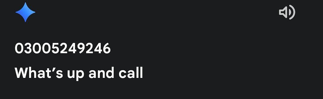 معیاری میانوالی اصیل چوزے لاثانی بلیک  اور جاوا ساوا مرغے برائے فروخت 18