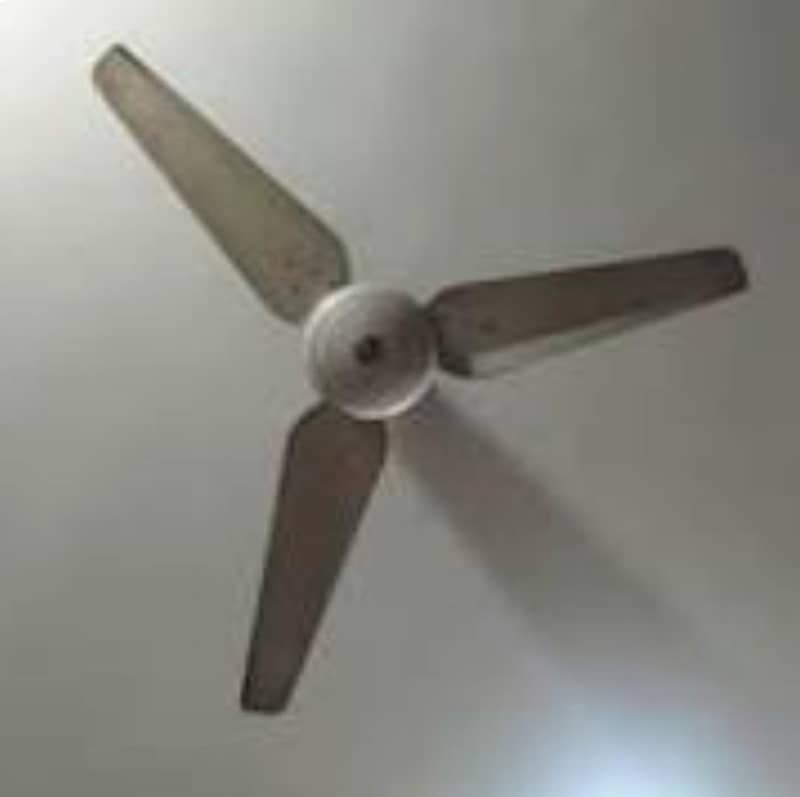 fan ceiling 1