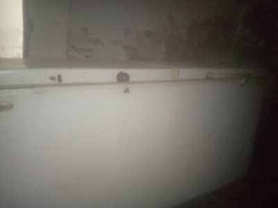 waves freezer large size full cooling