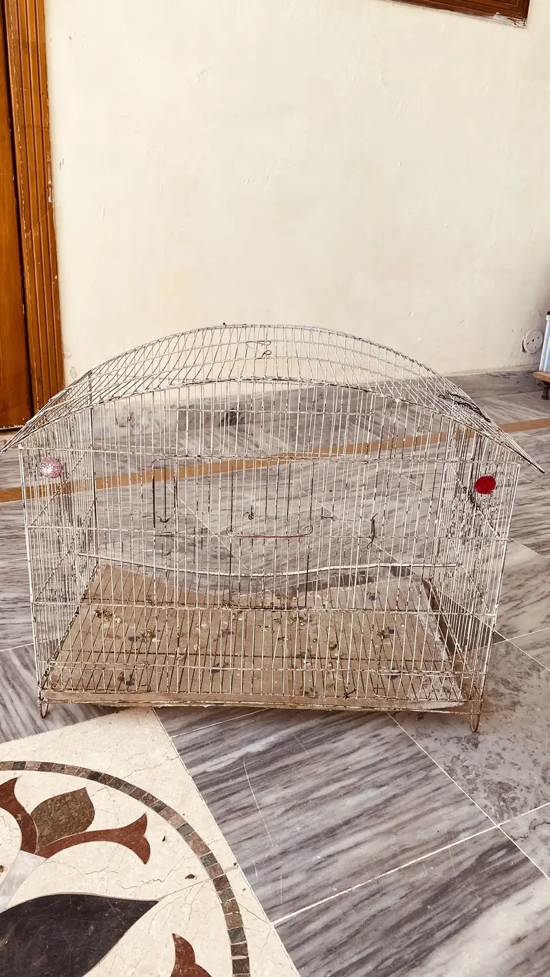 Big size cage for sale