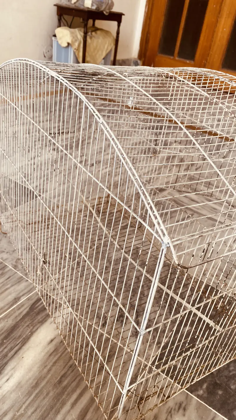 Big size cage for sale — photo 2