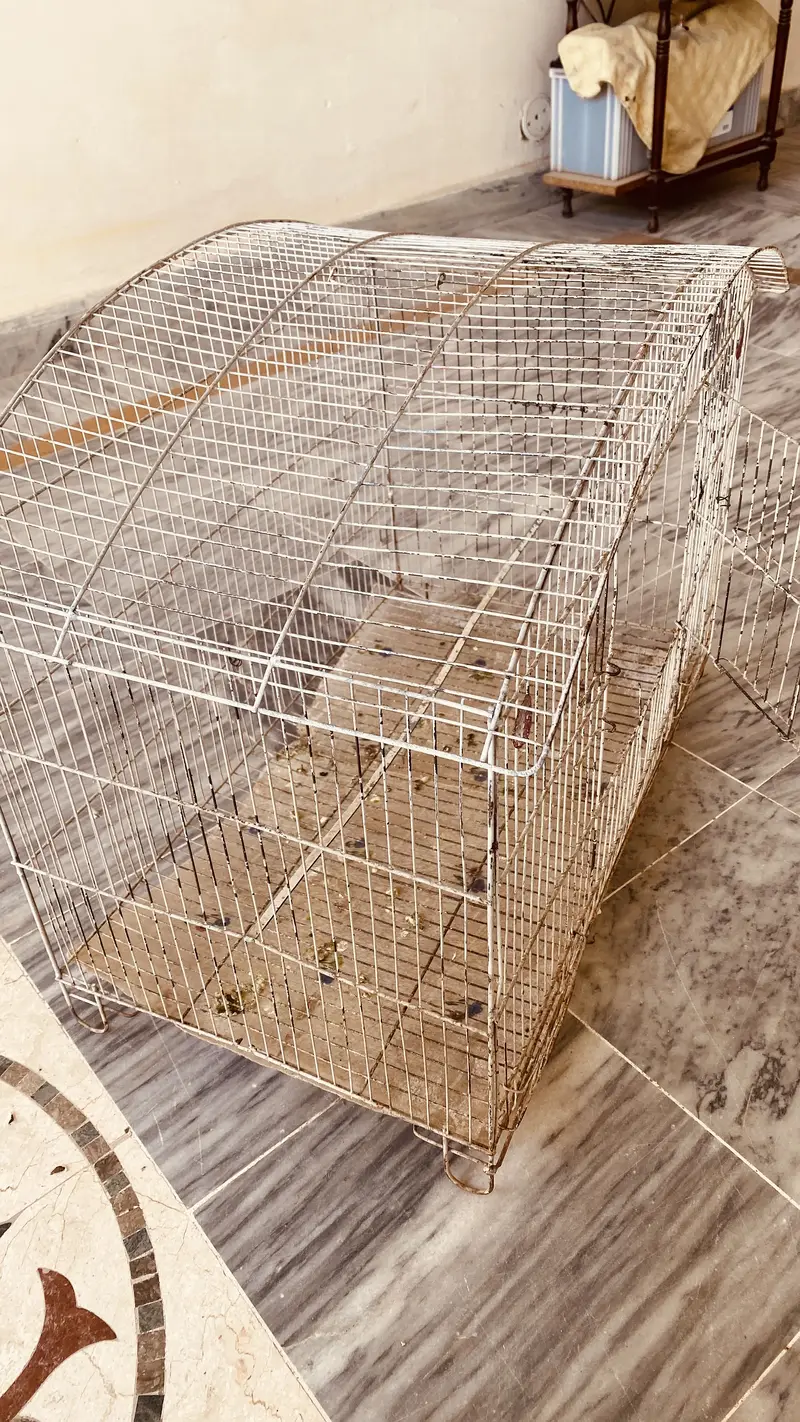 Big size cage for sale — photo 3