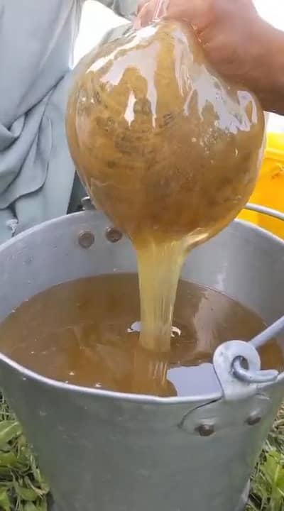 ١٠٠٪ خالص شہد