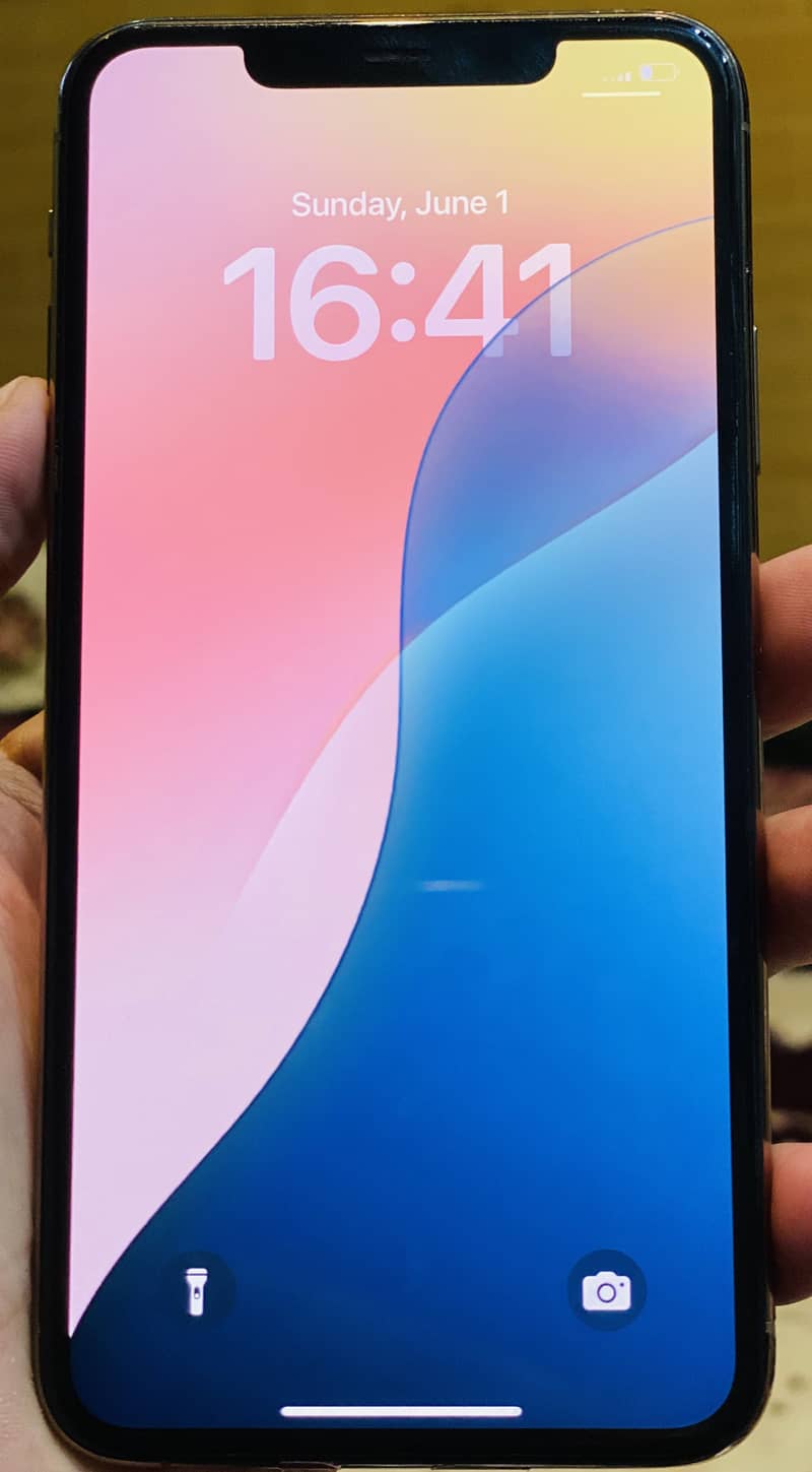 11 pro max 1