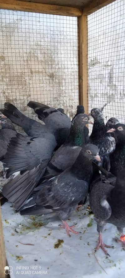 black teddy cheenay teddy pathy pathian