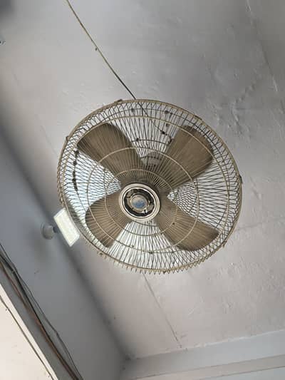 Ceiling fan