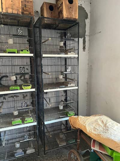 Birds Cage / Parrot Cage / Neat and Clean and Pure Steel.