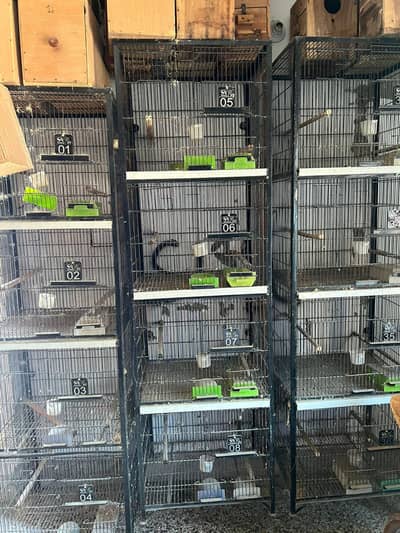 Birds Cage / Parrot Cage / Neat and Clean and Pure Steel.