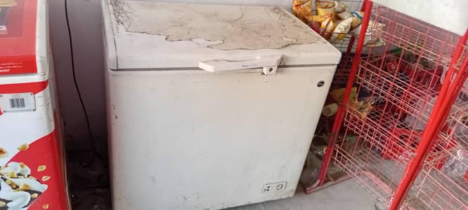 single Door automatic Deep freezer