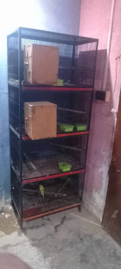 cage for sale 1.5 by 2.5