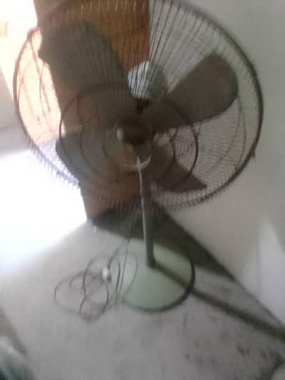 Electric fan