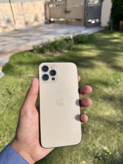 iPhone 12 Pro PTA Approved Waterpack