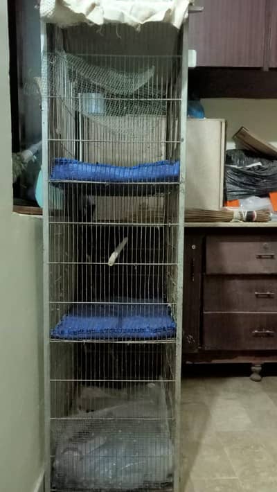 Birds cage with 3 floors