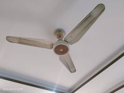 pak fans ( ceiling fan)