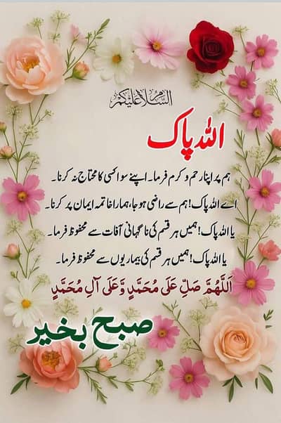 I AM DRIVER LOOKING FOR JOB