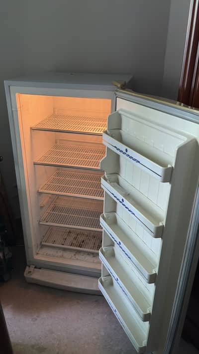 Dawlance Vertical Freezer
