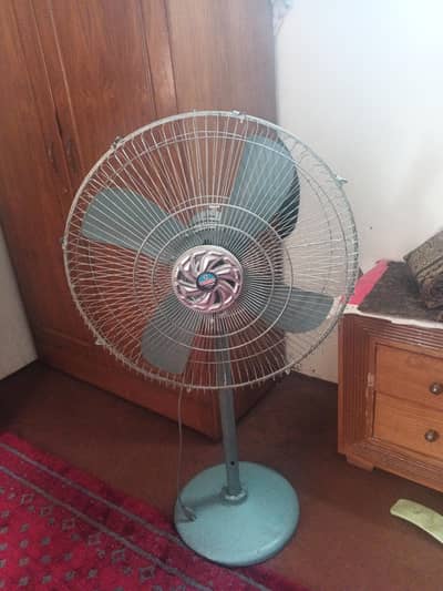 Asia fan