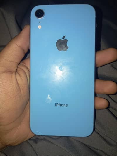 iPhone xr