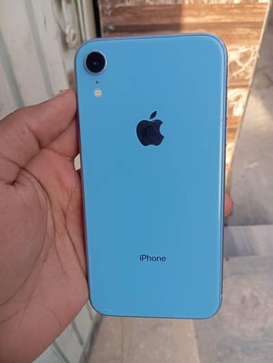 iPhone xr