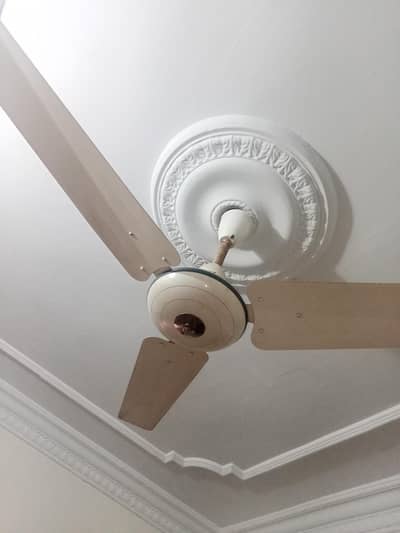 pak fan 2 pcs 100  original and perfect