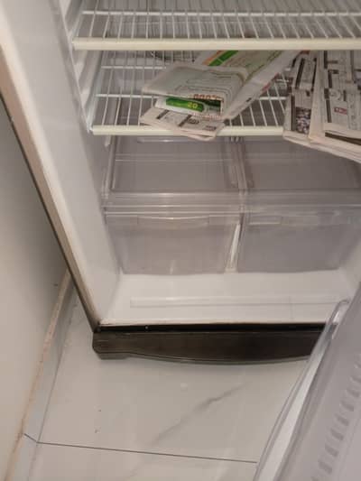 PEL Large Size Refrigerator 10/10 Condition Like New Big Capacity